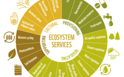Capitale naturale: una ricerca sui Servizi Ecosistemici